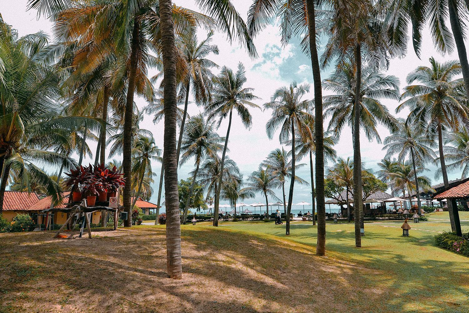Seahorse Resort & Spa Mui Ne Esterno foto